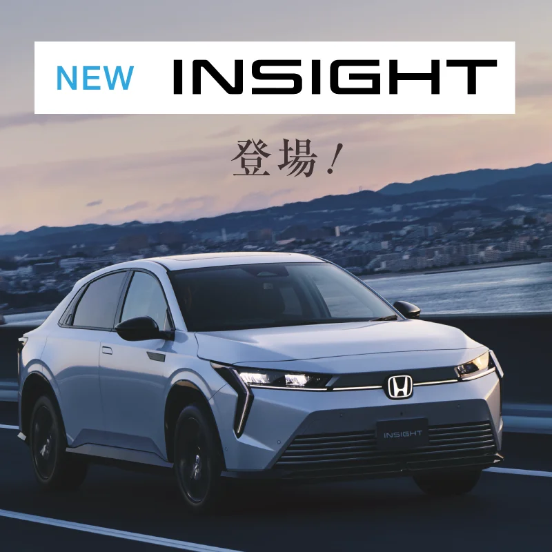 NEW INSIGHT 登場！