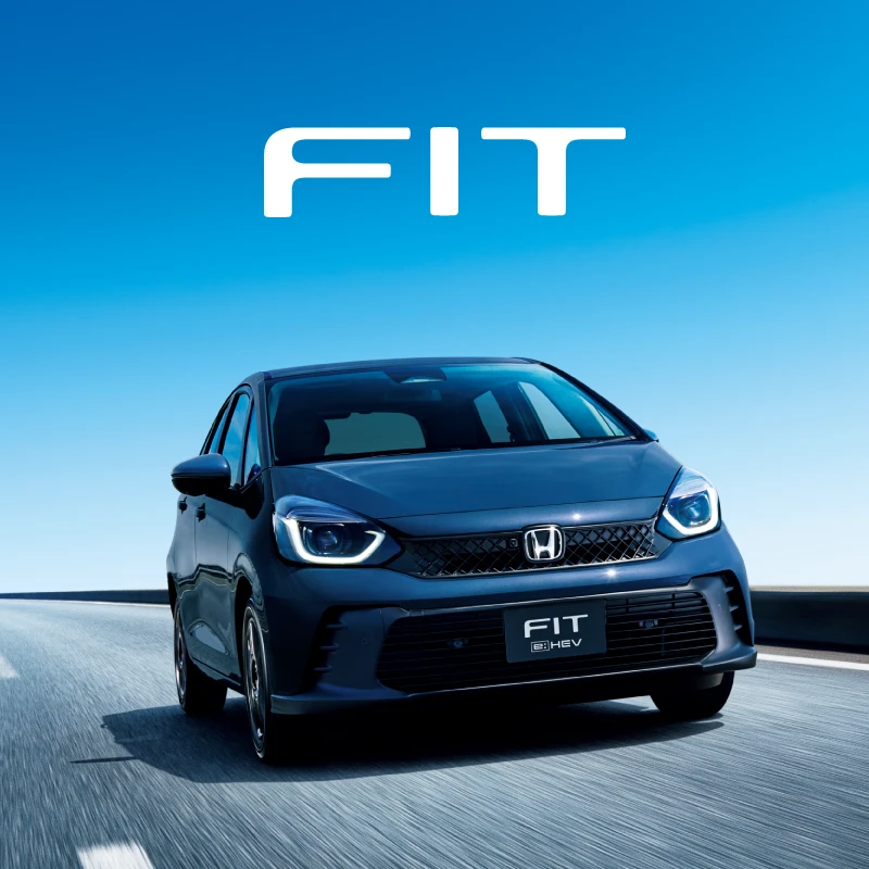 FIT