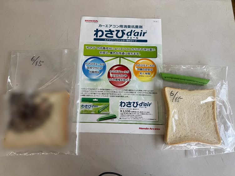 わさびdair 食パンカビ実験